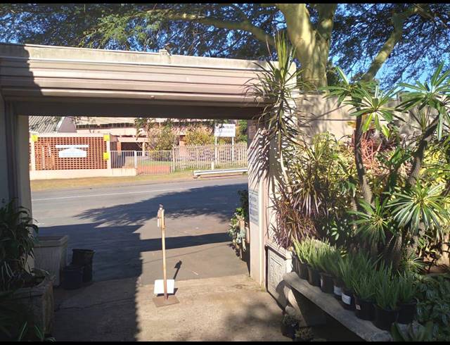 894M² BUSINESS FOR SALE IN BLUFF